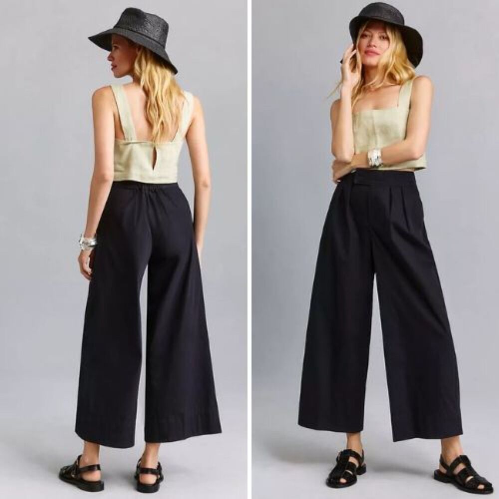 NWT Anthropologie Pleated Poplin Trousers | 22W